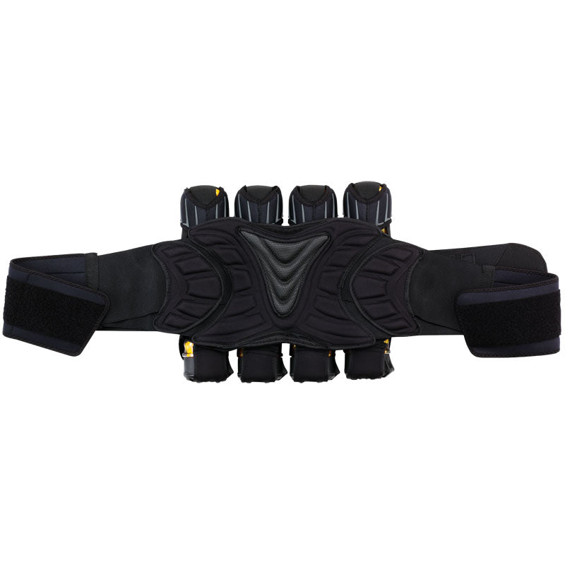 DYE Assault Pack Pro Harness - 4+5
